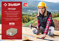  Гвозди кровельные оцинкованные, ГОСТ 4030-63, 40 х 3.5 мм, 5 кг, ЗУБР 